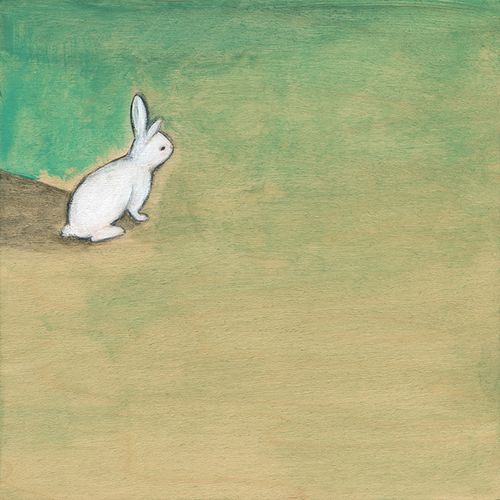 Lucky rabbit