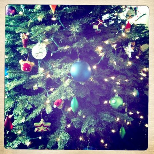Photo-6