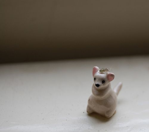 Tinymouse1