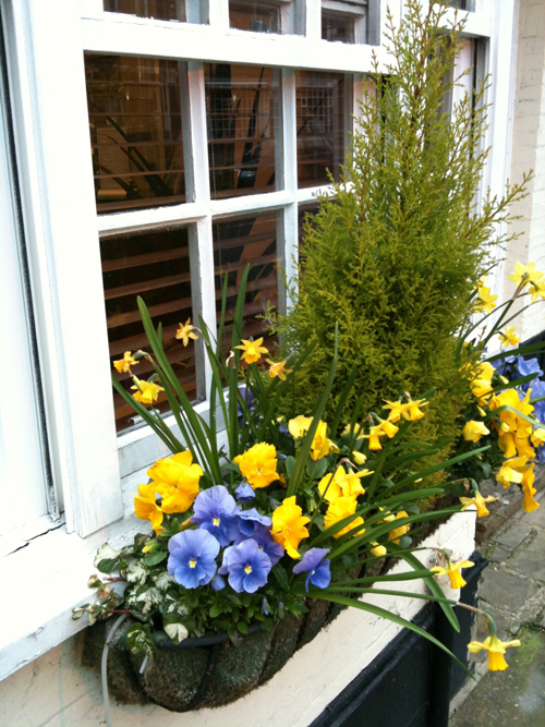 Window box