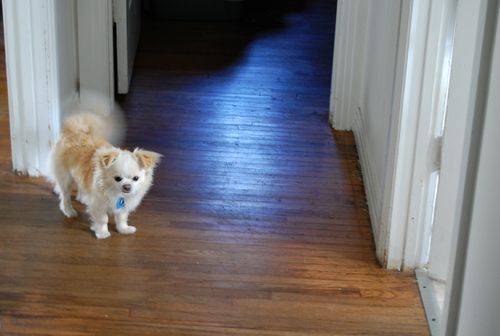 Tank is in the hall