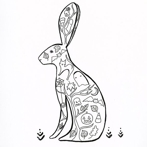 Ct jackalope IMG_2339
