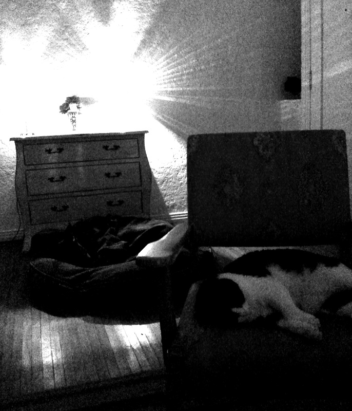 Everyone is sleeping