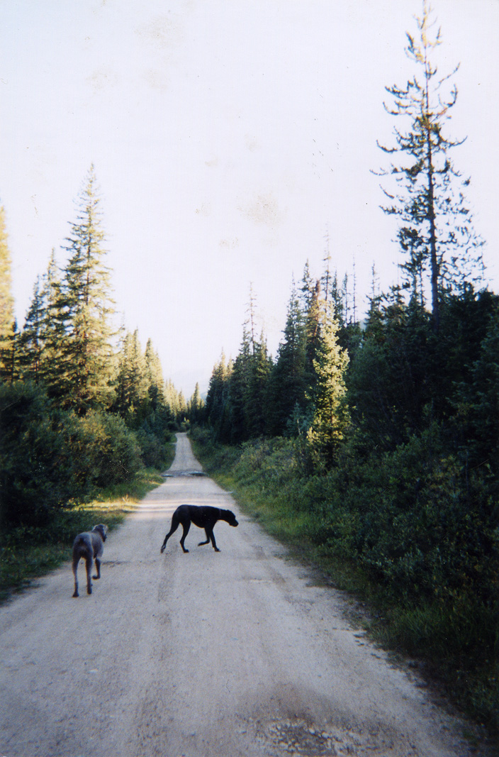 Jackson + lulu hiking