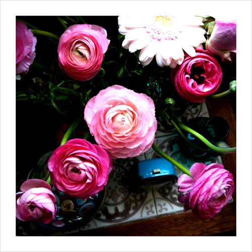 Sus's flowers