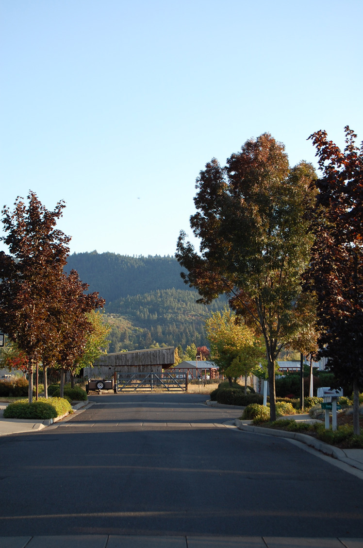 Ashland1