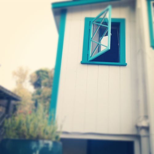 Liz's turquoise