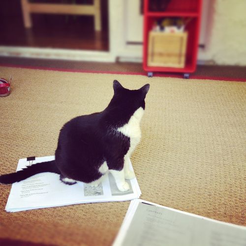 Garbo blessing the book1