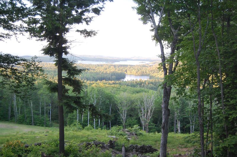 New hampshire