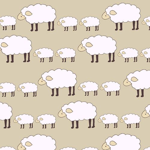 Sheep cream blog