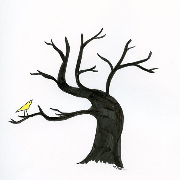 Ct tree IMG_2407