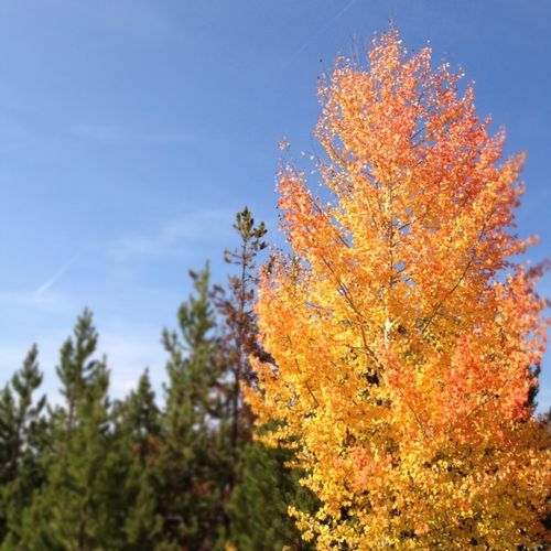 Colorado2