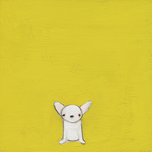Calm chihuahua