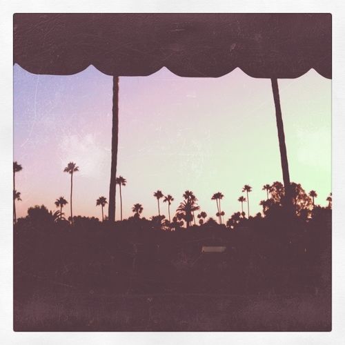 Photo-6