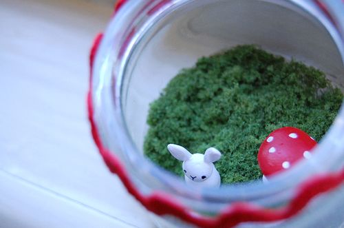 Terrarium1