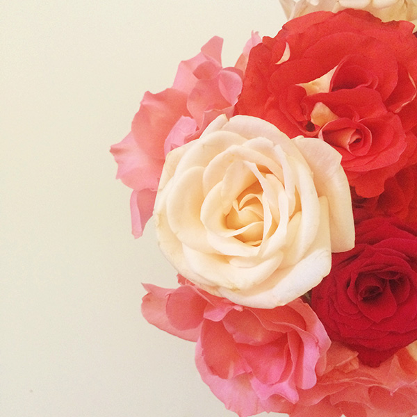 Summerroses