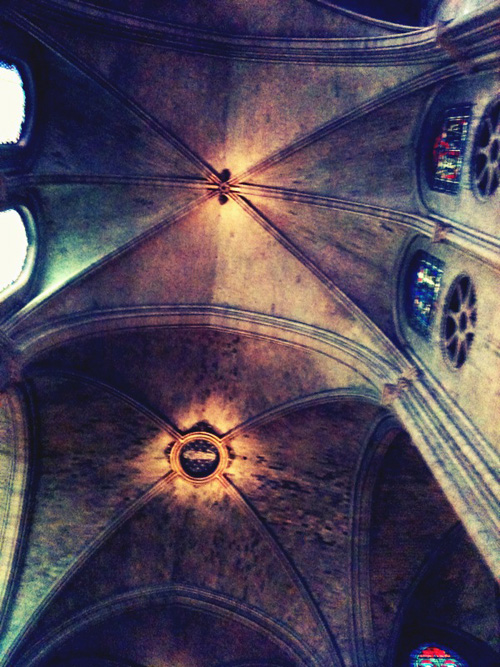 Notre dame ceiling