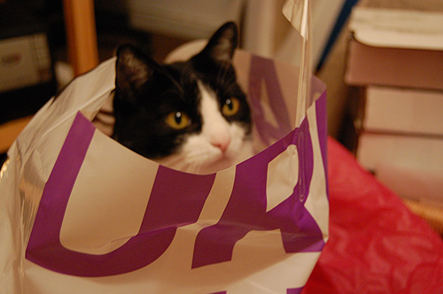 Bag lady