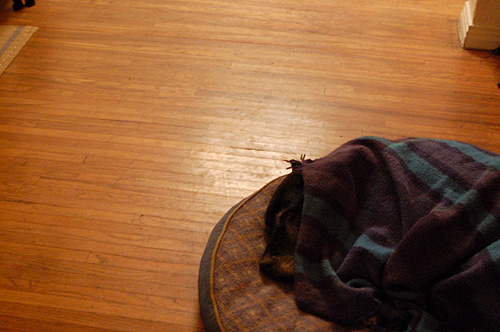 Lulu babushka