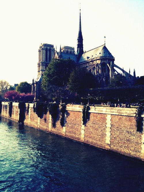 Notre dame