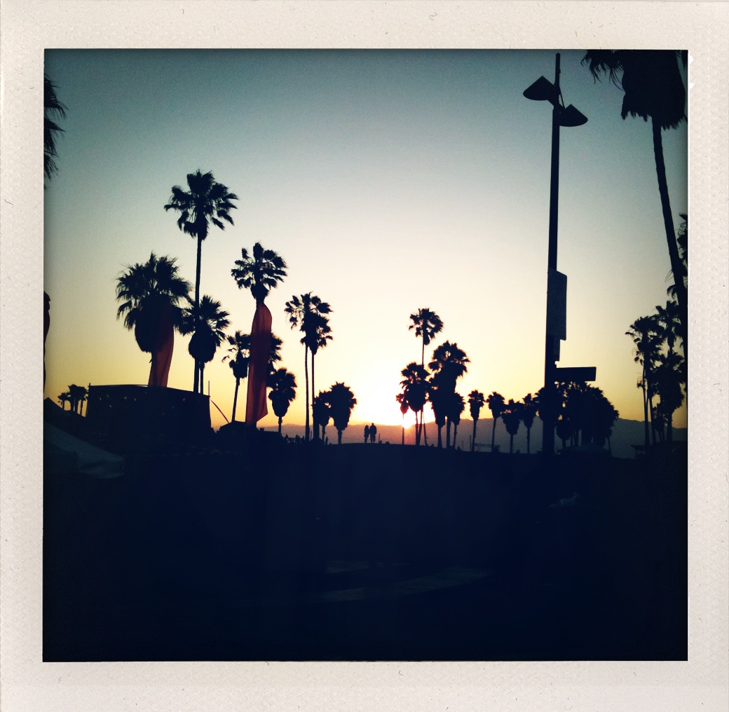 Photo-3