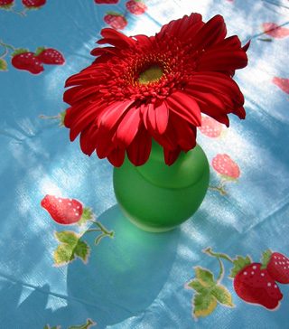 turquoise & red
