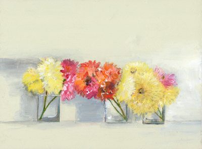 dahlias in a row