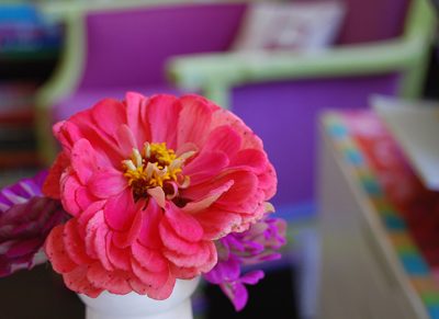 zinnias and "the war of art"