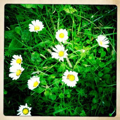 springtime in Germany