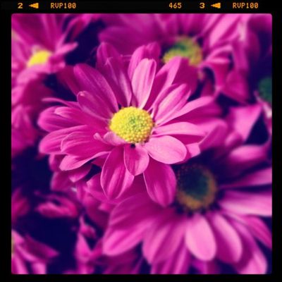 dear blog ~ have I left you for Instagram?