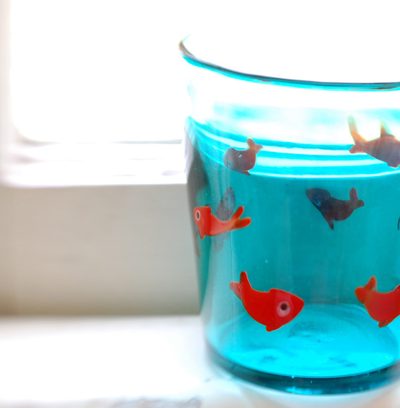 re-charged + 8 spaces remaining in the fish bowl