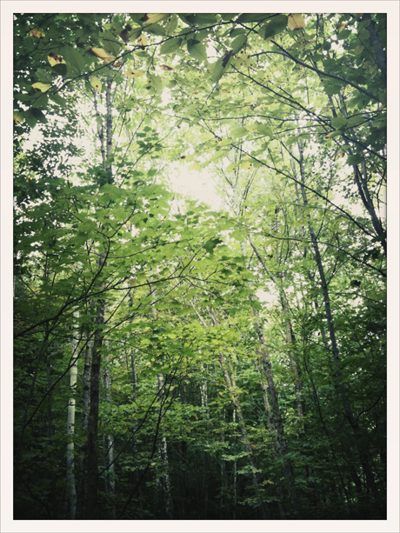 Squam 2010