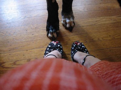 saying goodbye to our Lulu girl