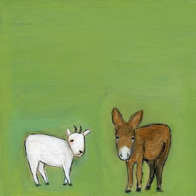 a goat and a donkey