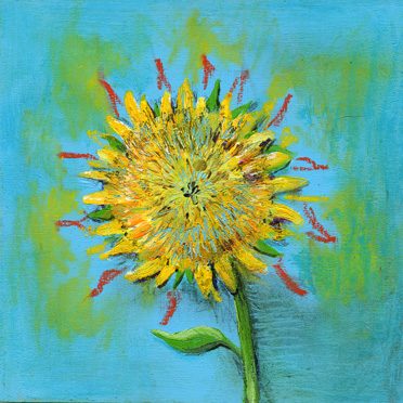 sunbloom