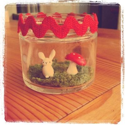 I made a terrarium