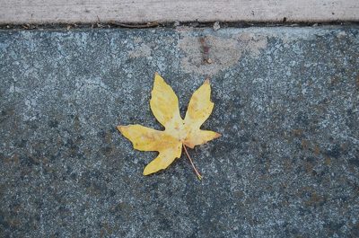 colors of Ashland