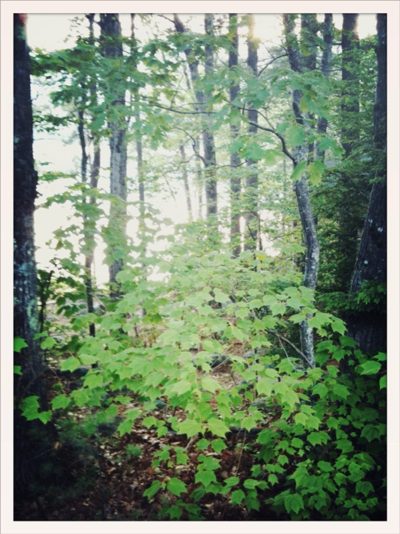 hello from Squam