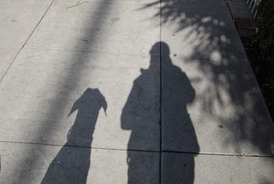 L.A. Walks