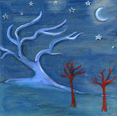 evening trees