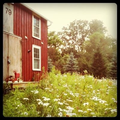 upstate NY in the summertime