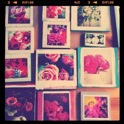 something pretty :: a series inspired by Iphoneography