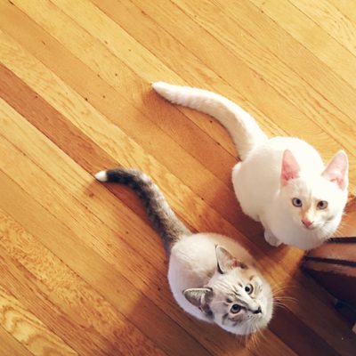 hello! hi! we need names! a giveaway