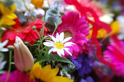 flowers for you