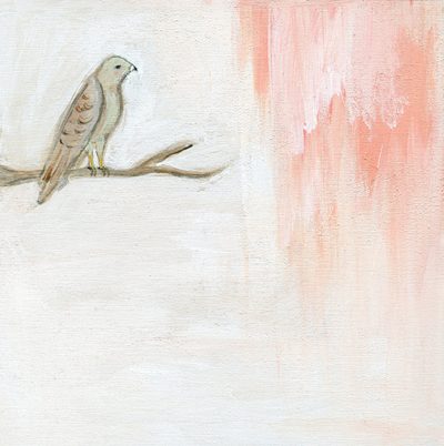 the hawk