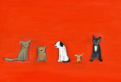 the canine castaways