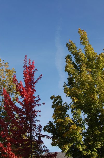 colors of Ashland