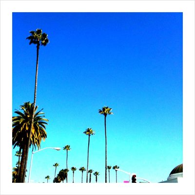 Sunday February 28