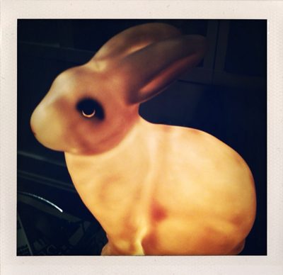 bunny lamps and other such inspiring things like fabric