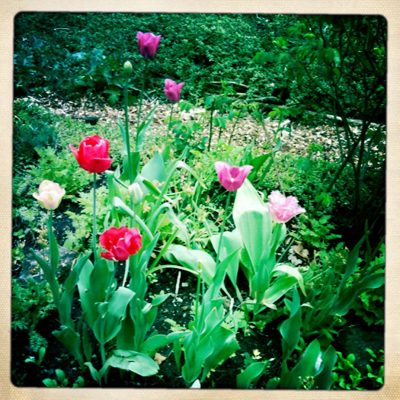 springtime in Germany